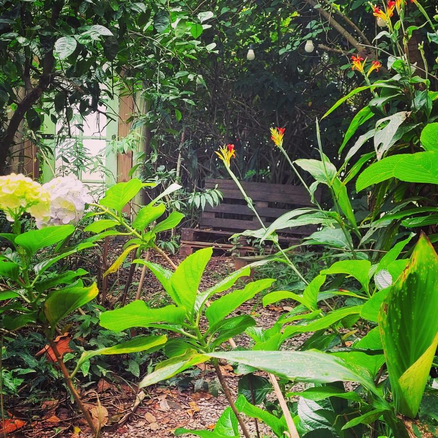 Villa Morena Benessere Florianópolis Exteriör bild