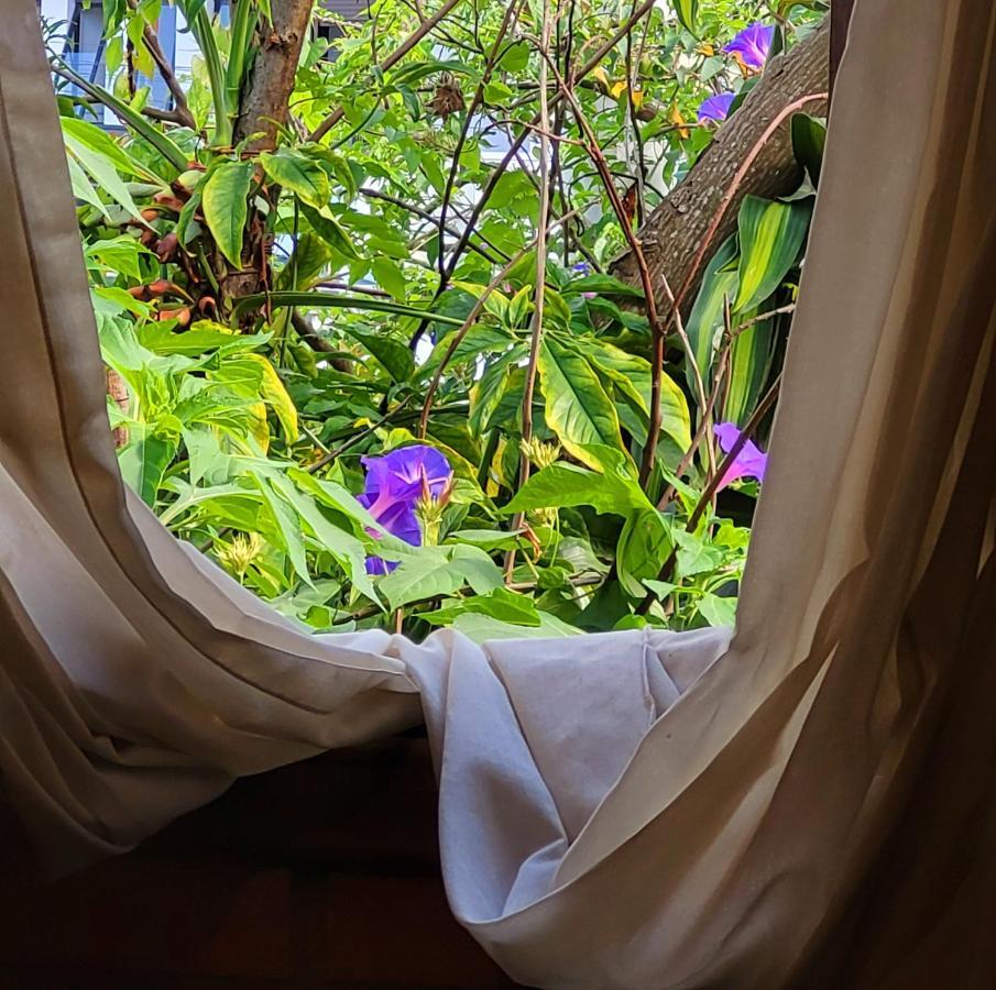 Villa Morena Benessere Florianópolis Exteriör bild